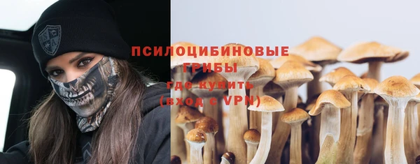 не бодяженный Саяногорск