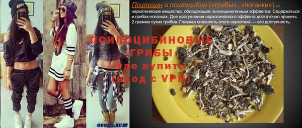 гидра Сафоново