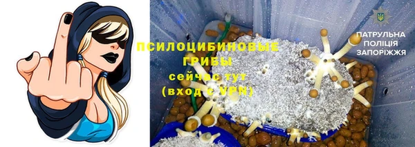 гидра Сафоново
